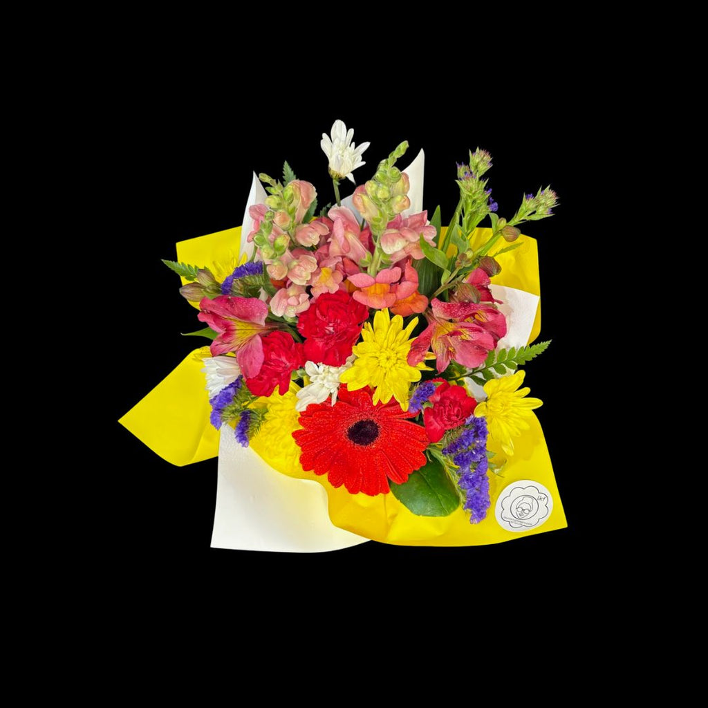 Laura's Choice - Small Brights Box