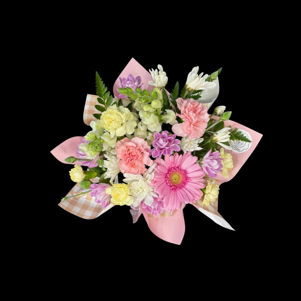 Laura's Choice - Small Pastels Box