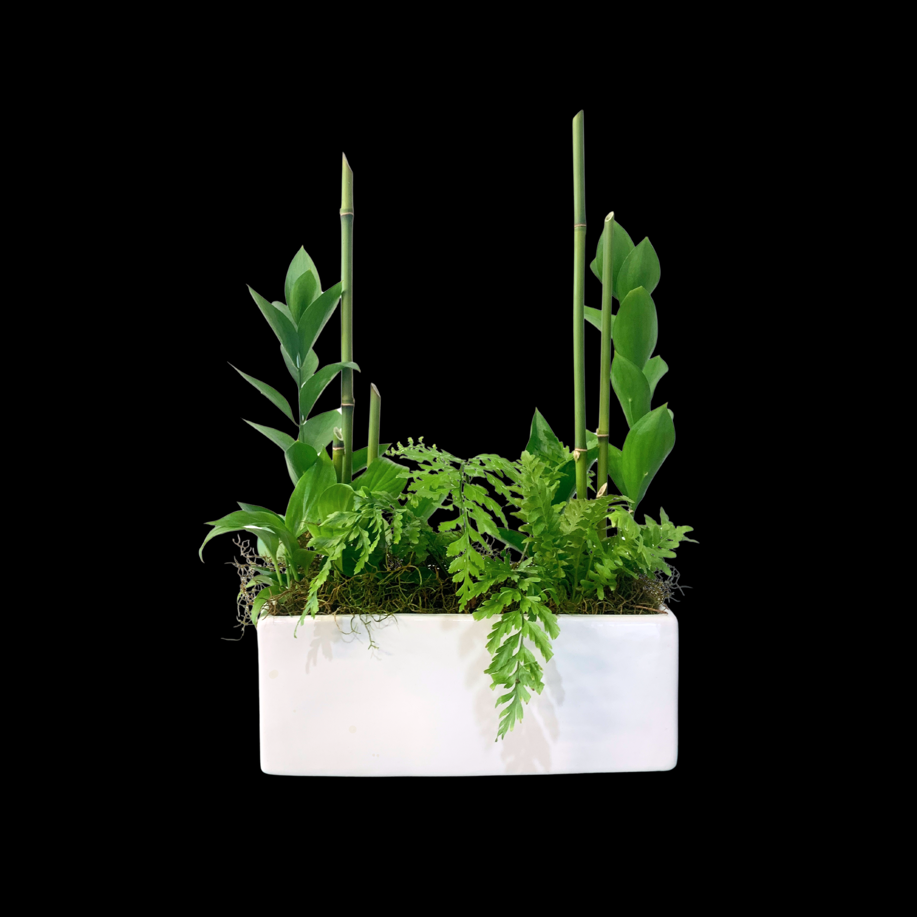 Hybrid Urban Garden #1  (in ceramic) image 1