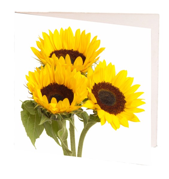 Card Sunflowers 7cm image 0