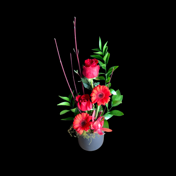 Urban #2  (in ceramic pot) image 1