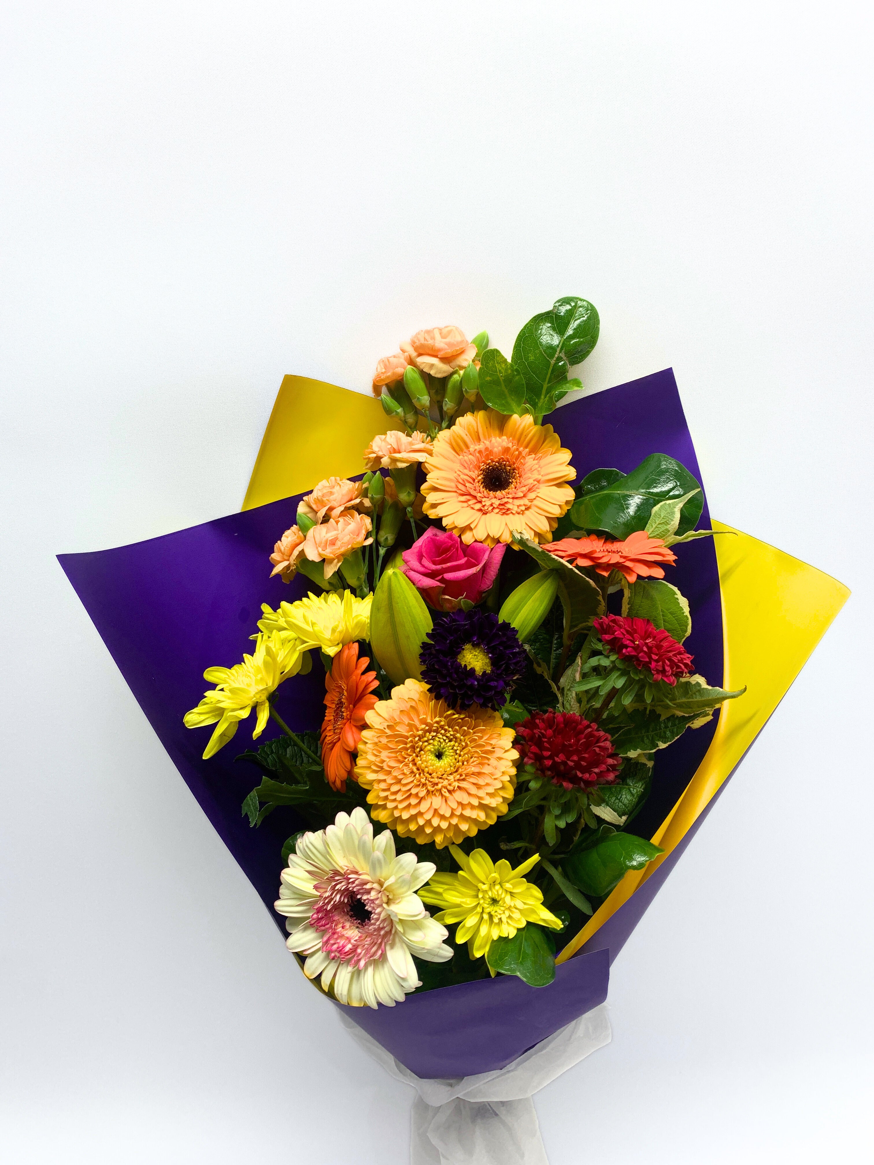 Colour For $50 image 1