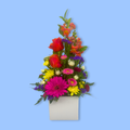 Upright Tall flower arrangement of bright mixed flowers in white box.