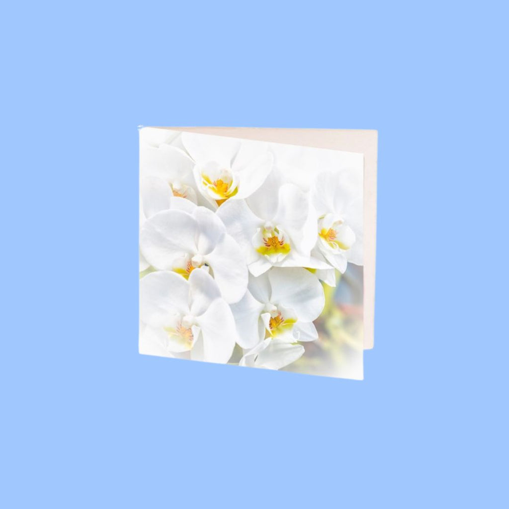 Card White Orchid 7cm