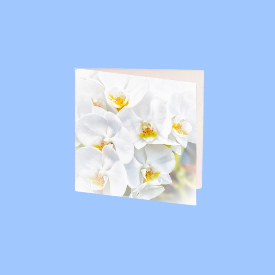 Card White Orchid 7cm