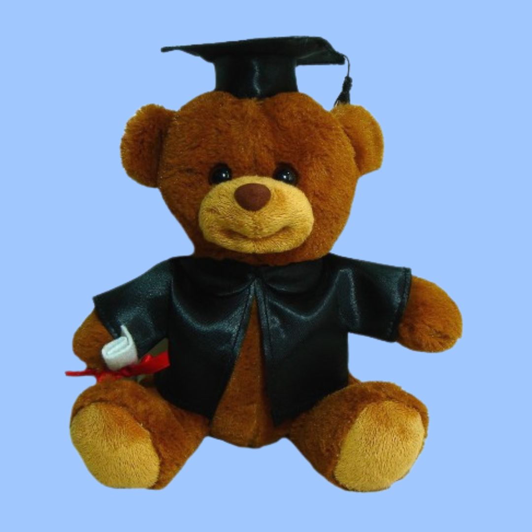 Clever Grad Bear 20cm