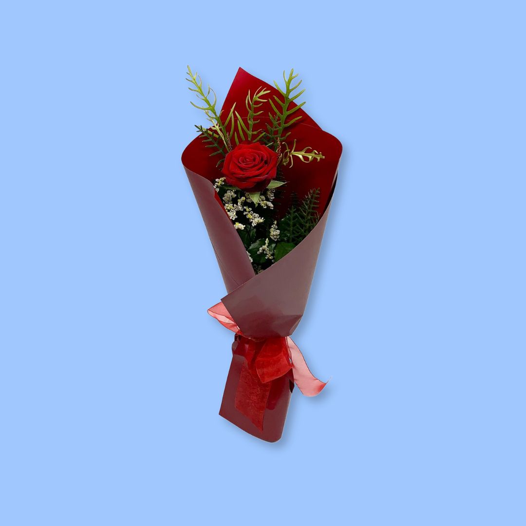 Red Rose (wrapped)