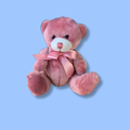 Nancy Bear Pink 19cm
