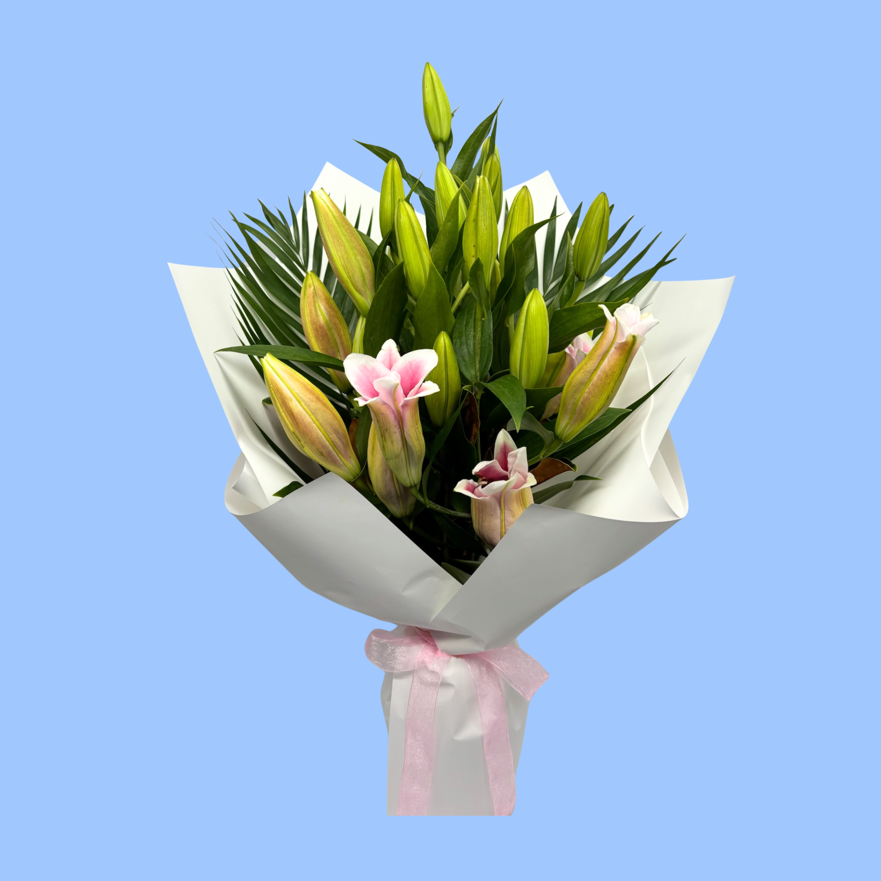 Mixed white and pink lily bouquet in white wrap with light pink bow. most lilies closed.