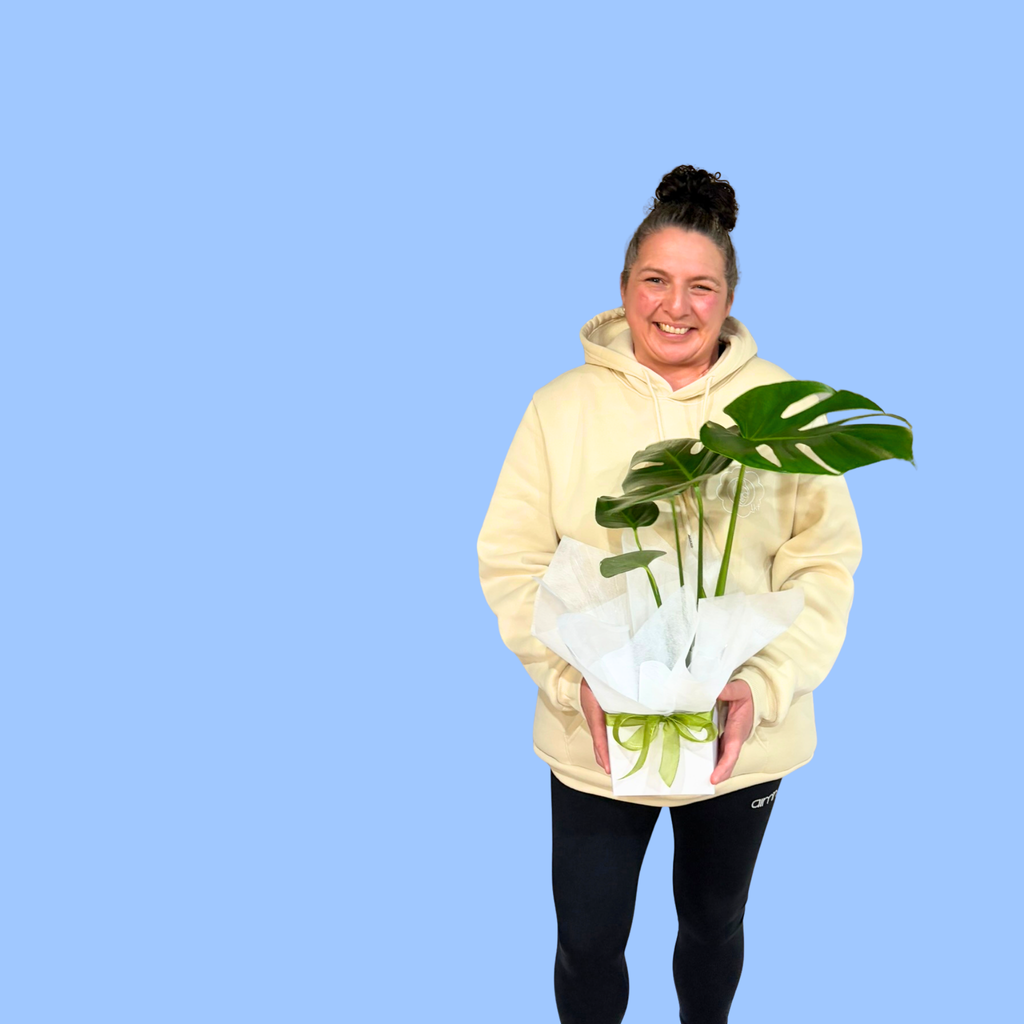 Laura King holding a green large leaved monstera plant in white box with green ribbon and tissue