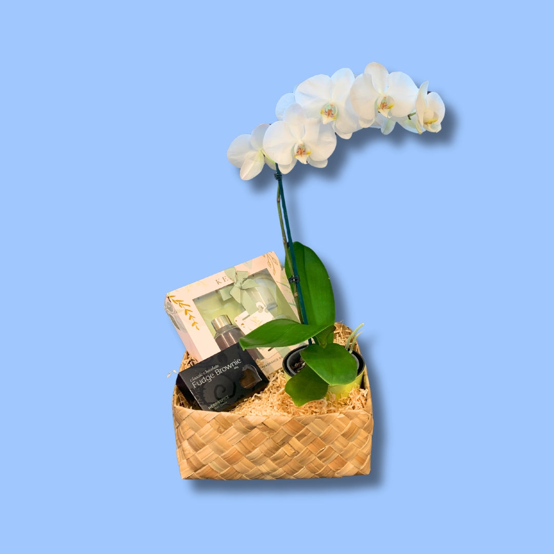 Orchid Gift Pack