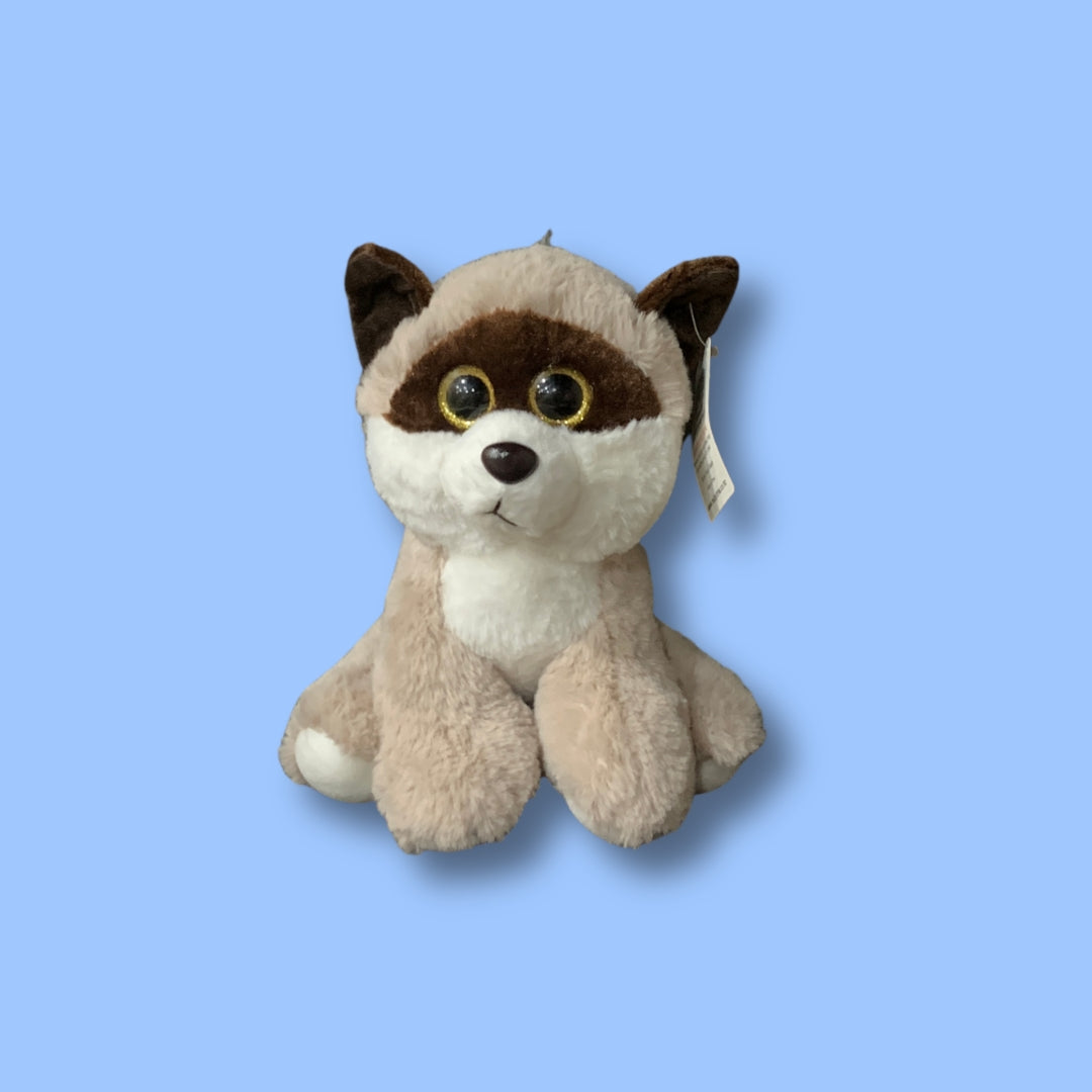 Quirky Racoon