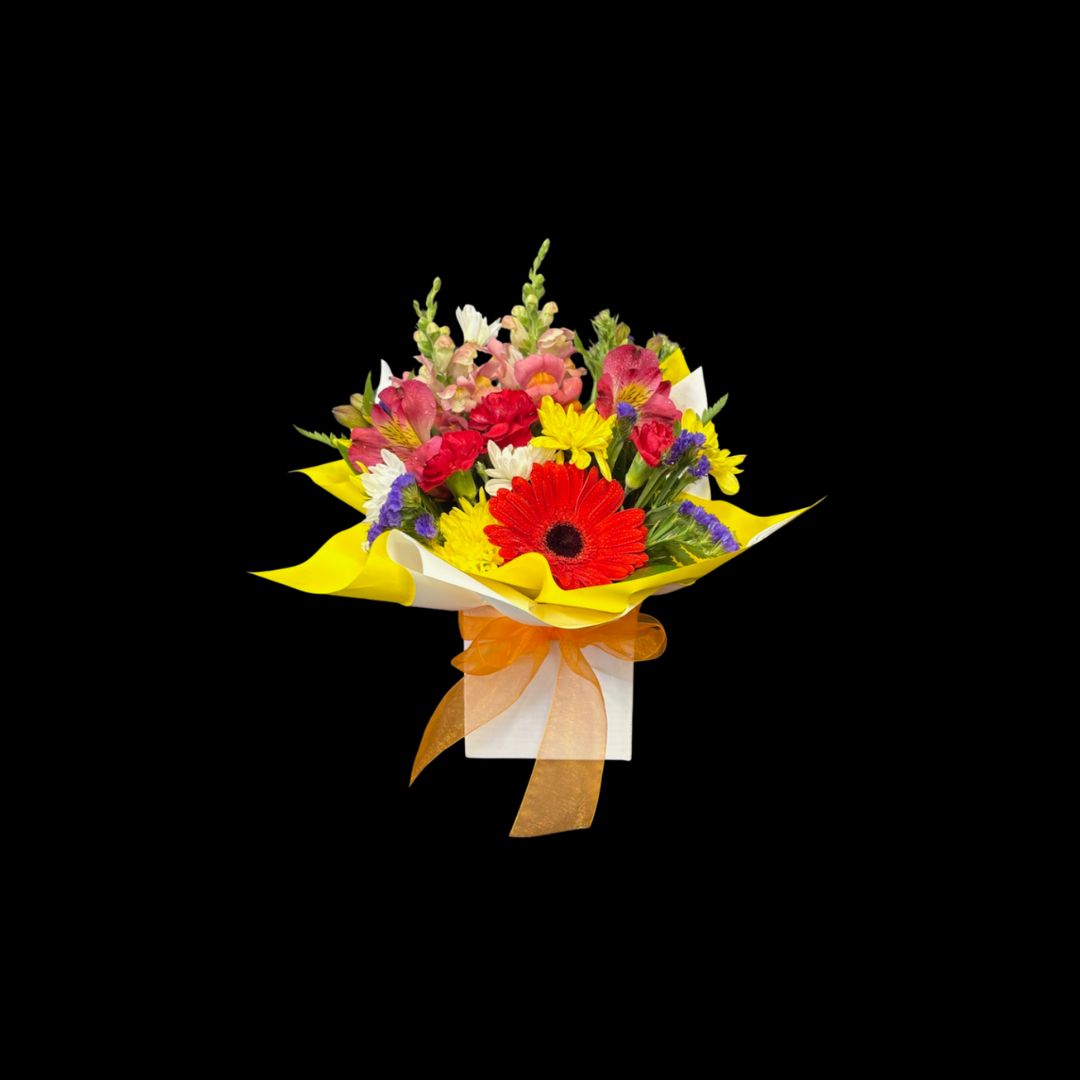 Laura's Choice - Small Brights Box