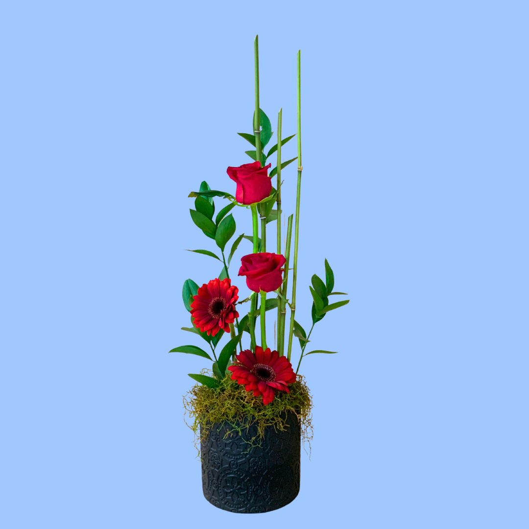 Minimalist arrangement with two staggered red roses placed higher and two lower placed gerberas staggered below. background foliage is tall bamboo and leaf. in a matte black cylindrical ceramic pot.