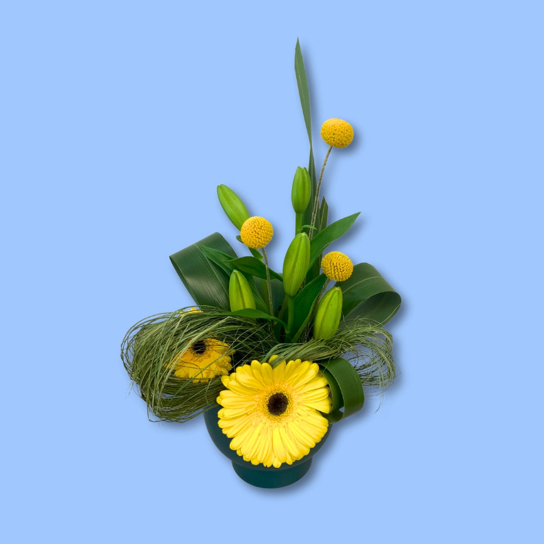 Floral arrangement with yellow gerberas, lilies and balled flowers against artistically placed flax. In a matte emerald green ceramic pot.