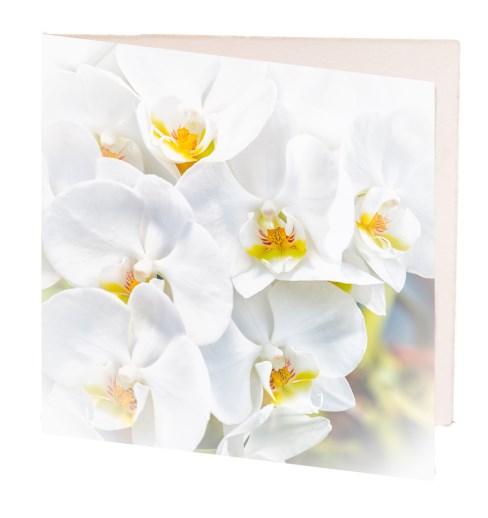 Card White Orchid 7cm image 0