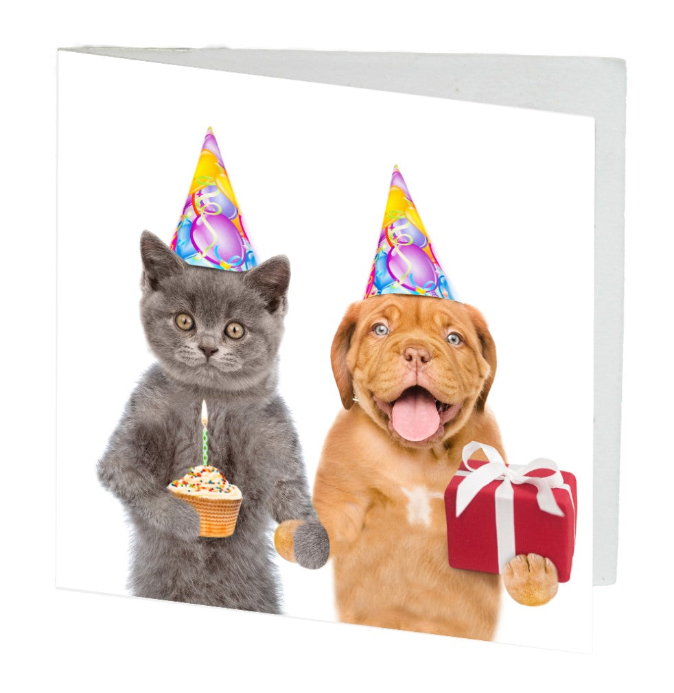 Card Birthday Cat & Dog Celebration image 0