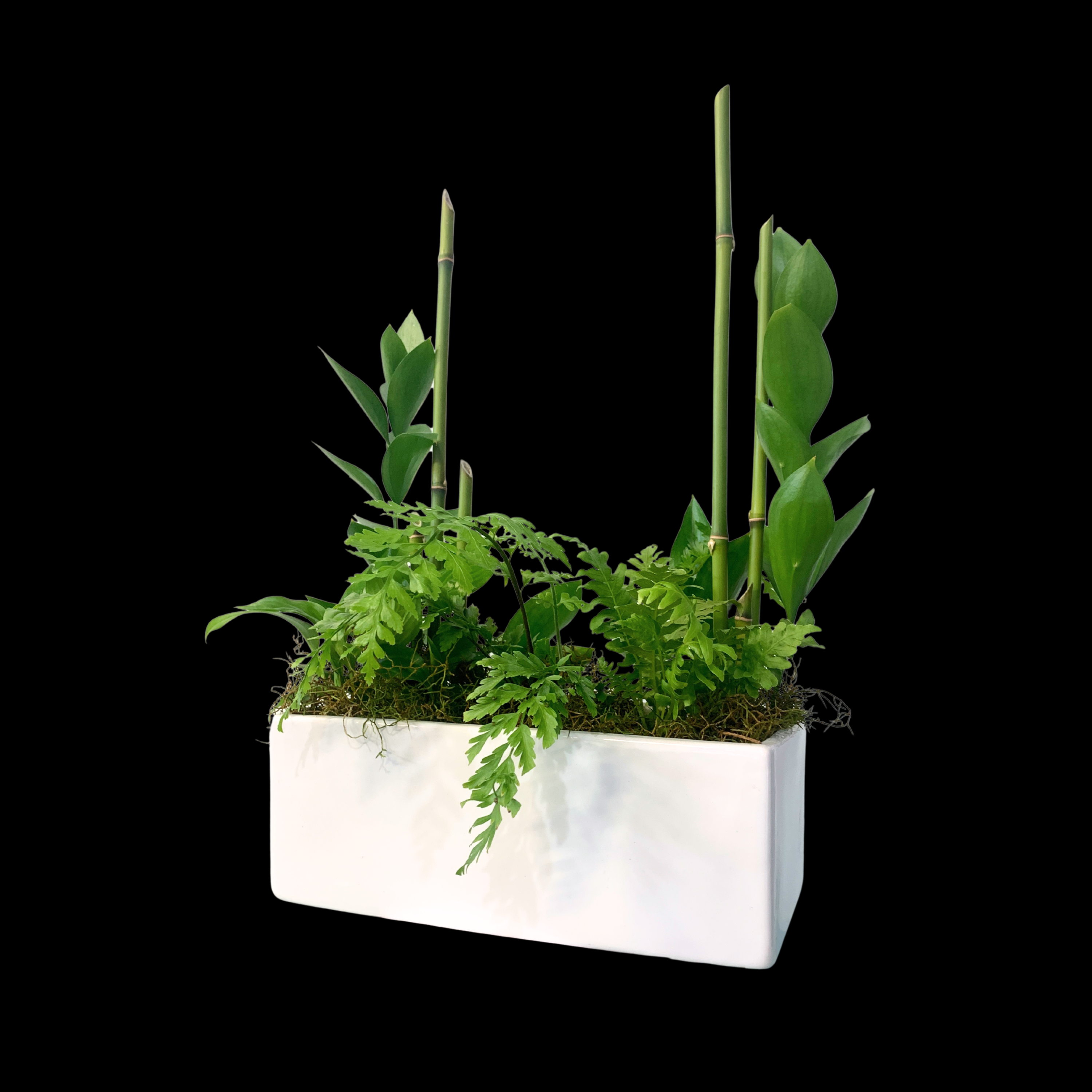 Hybrid Urban Garden #1  (in ceramic) image 0