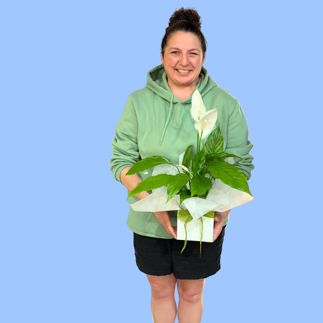 Peace Lily