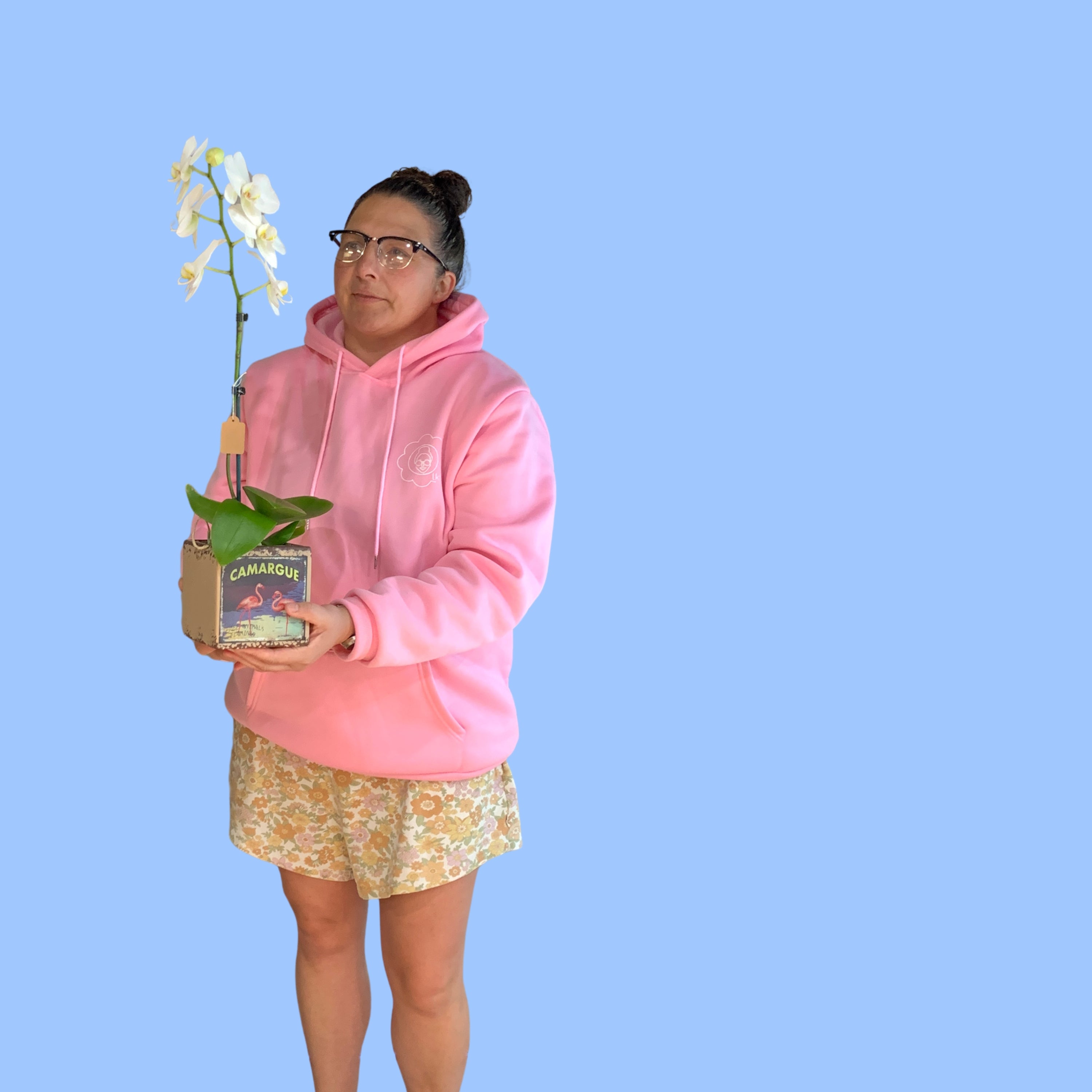 Phalaenopsis Orchid in 13cm Flamingo Vintage Style Pot