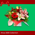 Xmas Low Arrangement (40x30cm)