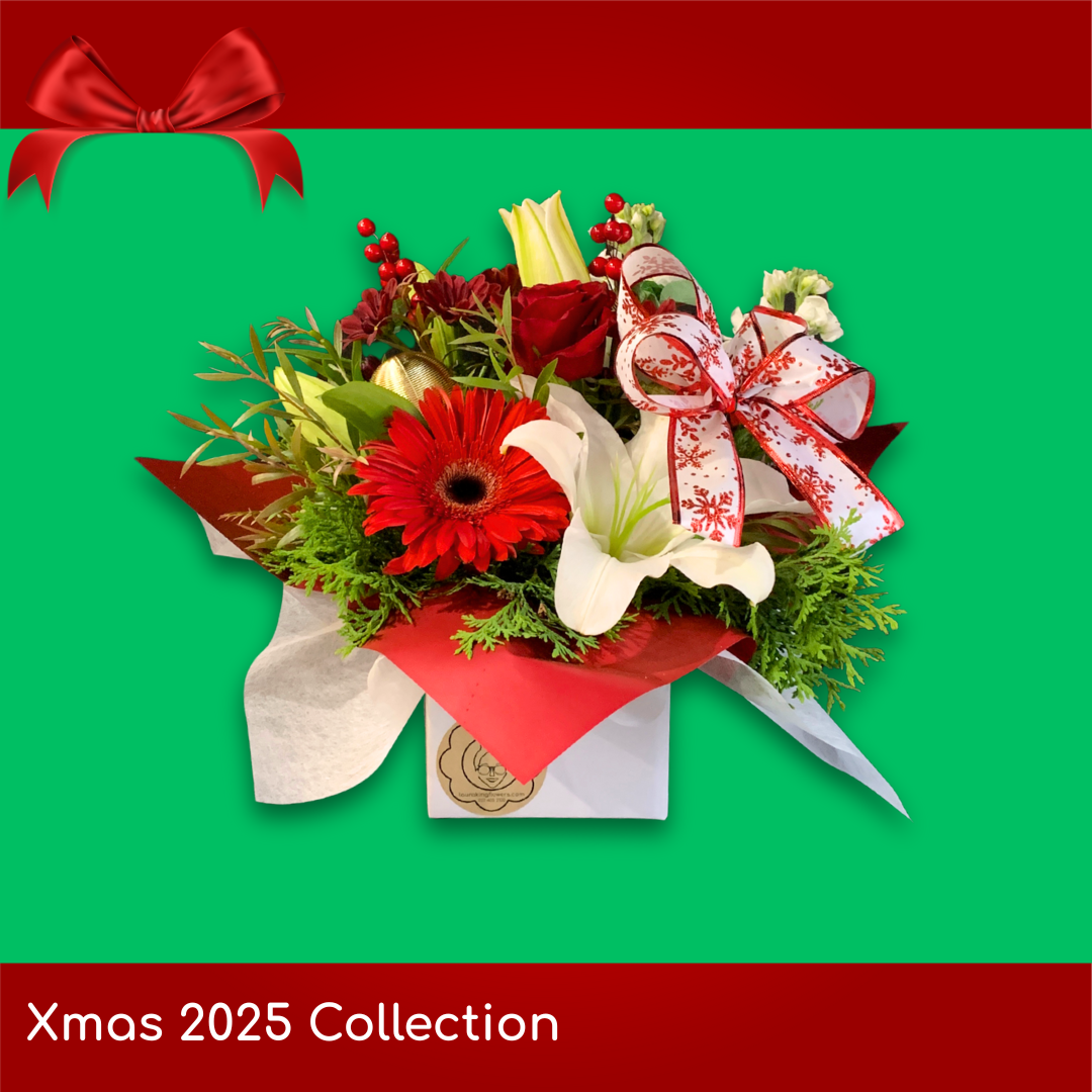 Xmas Low Arrangement (40x30cm)