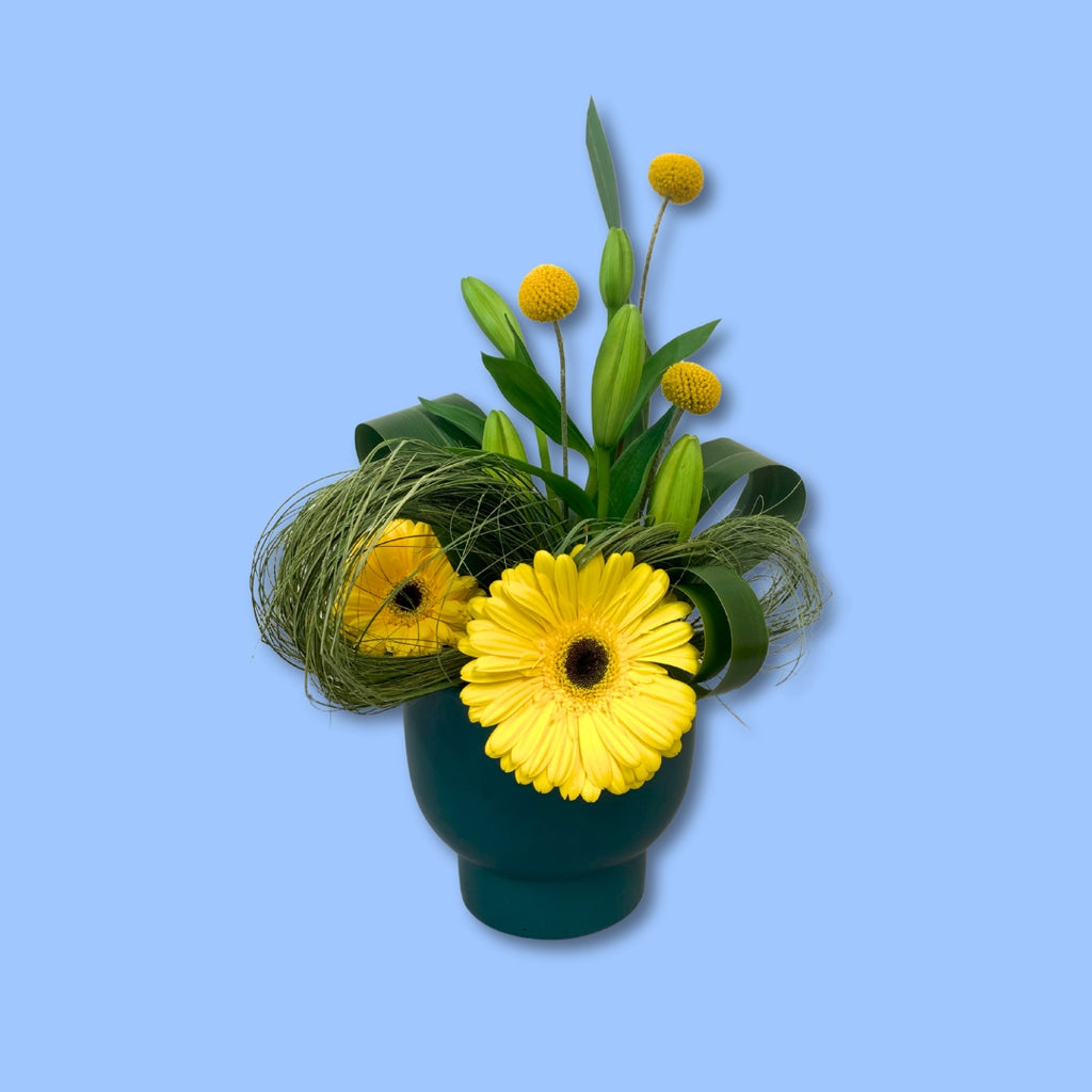 top view of flower arrangement with bright yellow gerberas and yellow ball shaped flowers between artistic flax design and lilies, in modern matte emerald green coloured ceramic pot.