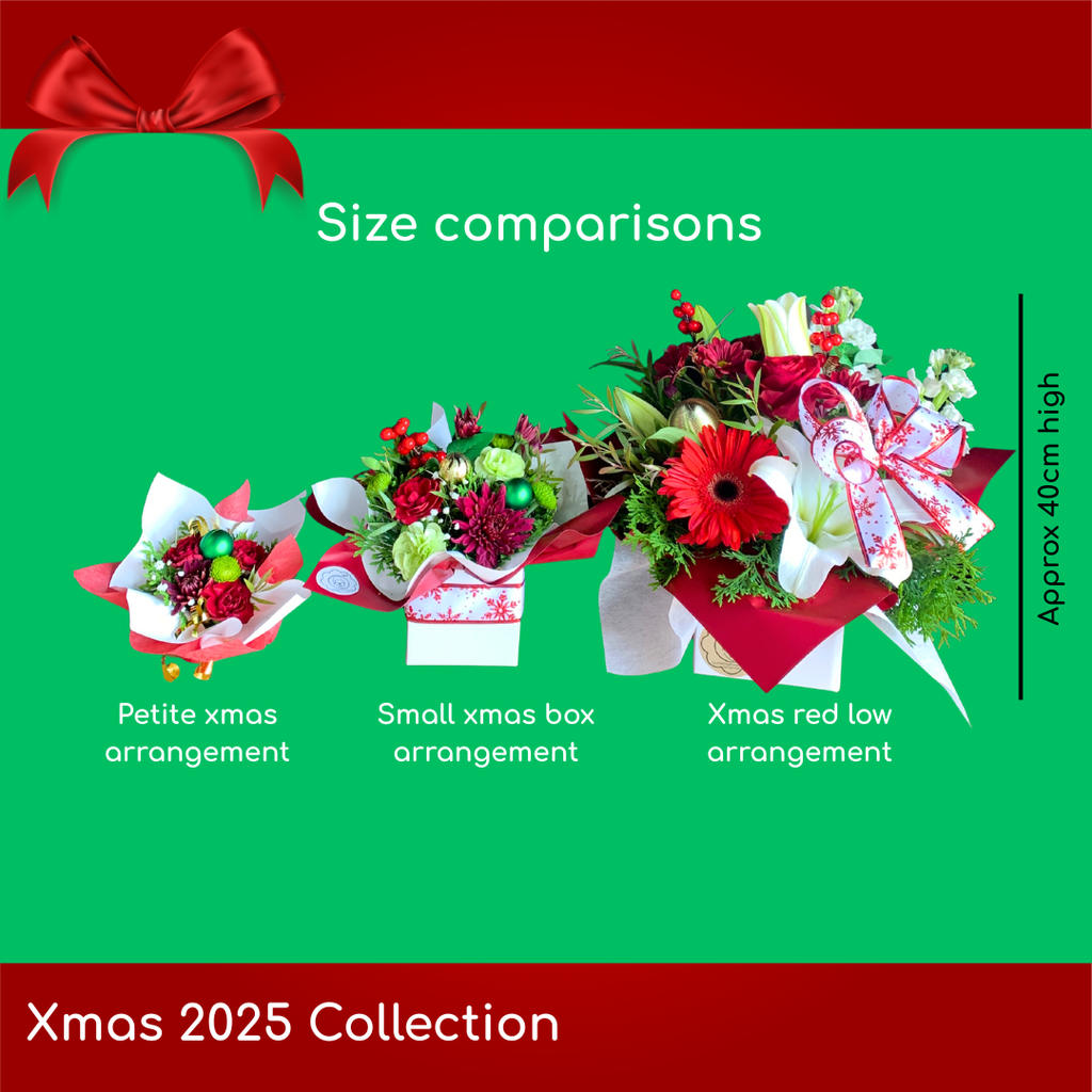 Laura's choice - Small Xmas Box